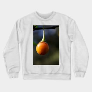 Kangaroo Apple Crewneck Sweatshirt